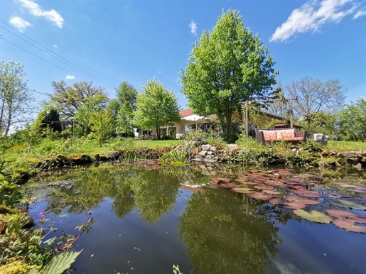 Beautiful bungalow with pond, hidden in the countryside