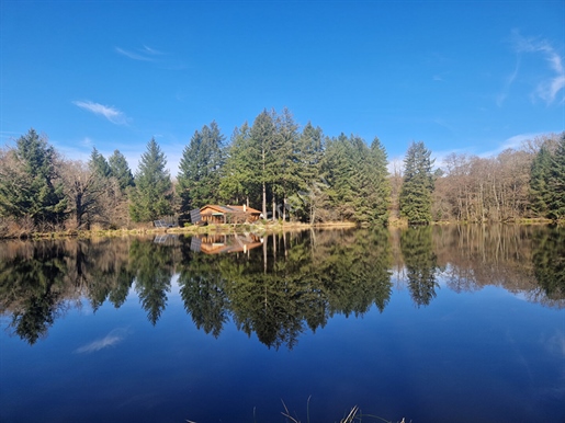 Magnificent wooden chalet in total autonomy in Piégut, surrounded by ponds on approximately 7 hectar