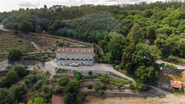 Manor house. Vineyard & river frontage 