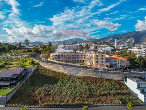 Terrain Acheter Funchal