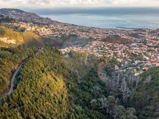 Terreno In vendita Funchal