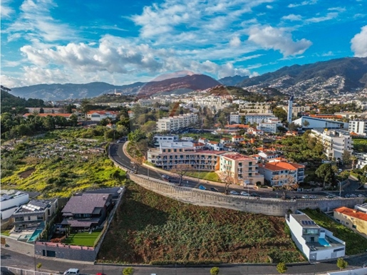 Terreno Venda Funchal