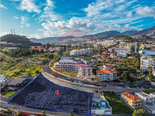 Land Sale Funchal