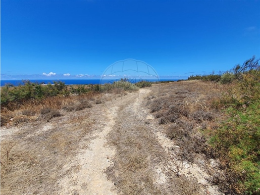 Terreno Venda Porto Santo