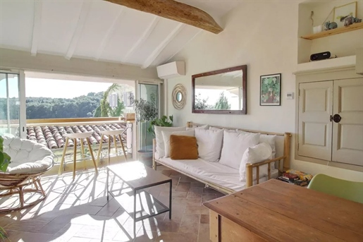 Village house in the heart of Biot
