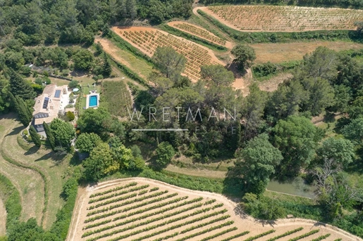 Unique self-sufficient property with vineyards, olive grove and guesthouses - Correns