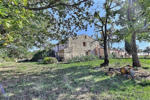 Authentic stone farmhouse, succesful B and B and gite rental - Quinson