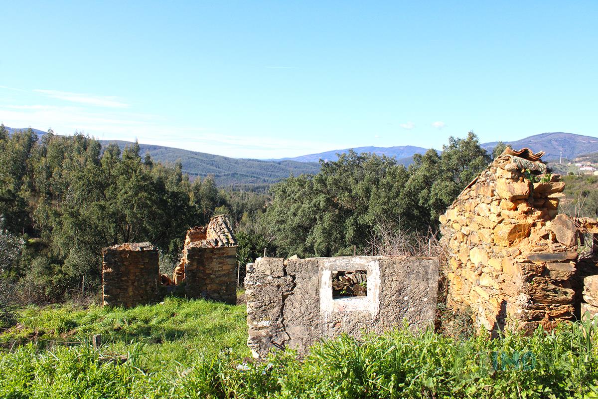Land with Ruins