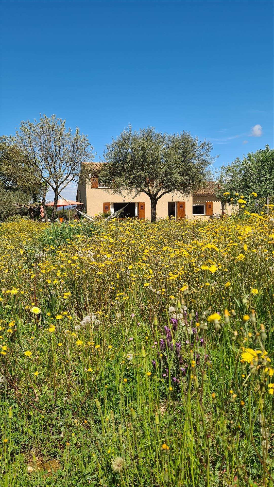 Casa entre vinhas e floresta