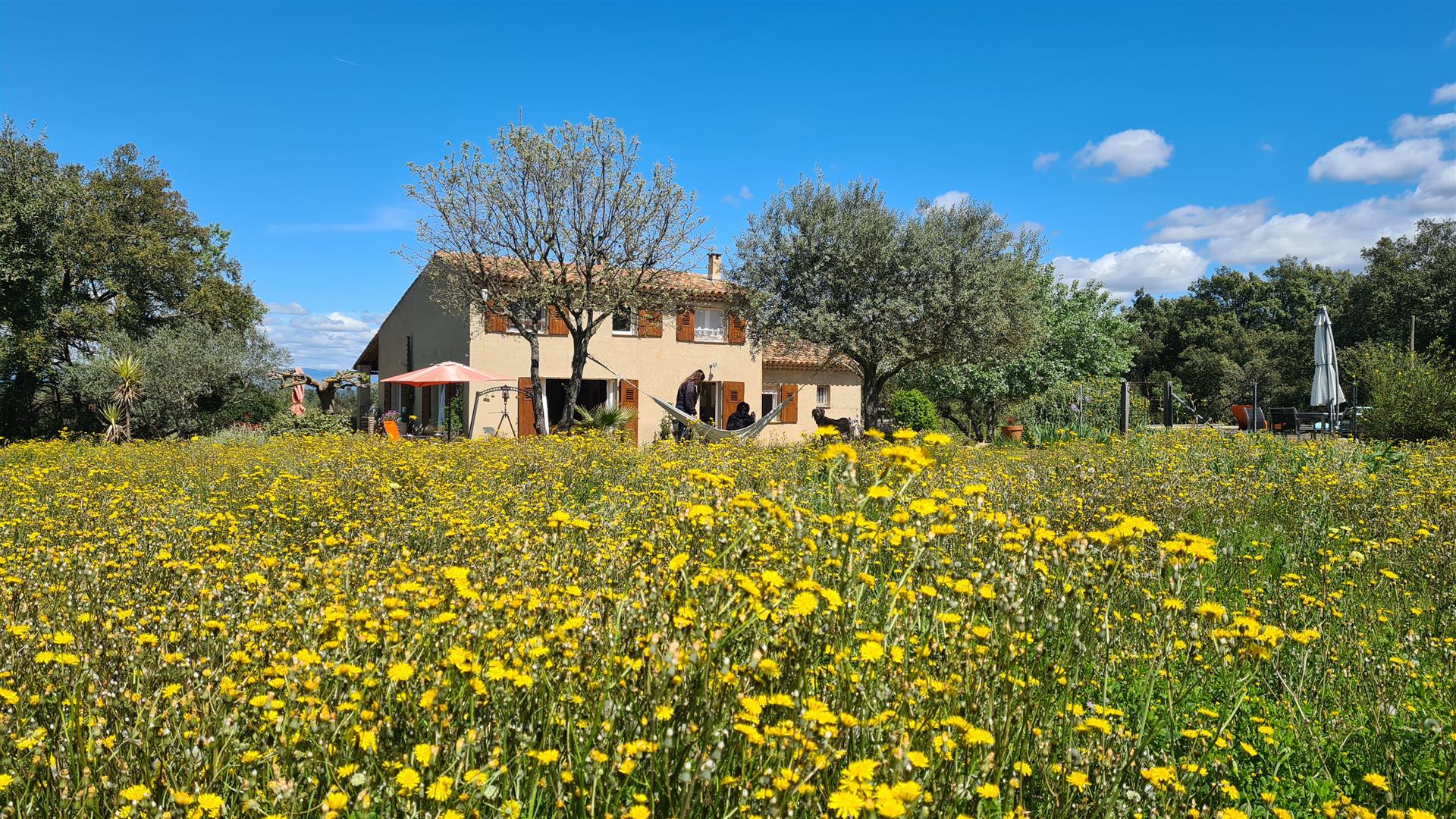 Casa entre vinhas e floresta