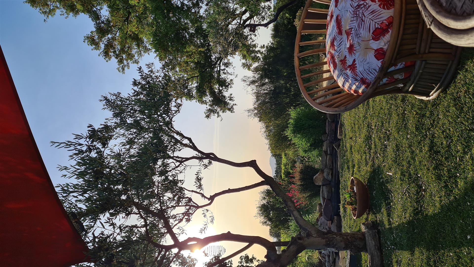 Casa entre vinhas e floresta
