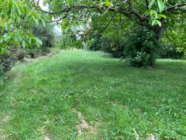 Compra: Terreno (67770)