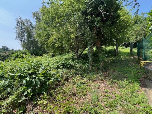 Compra: Terreno (67110)