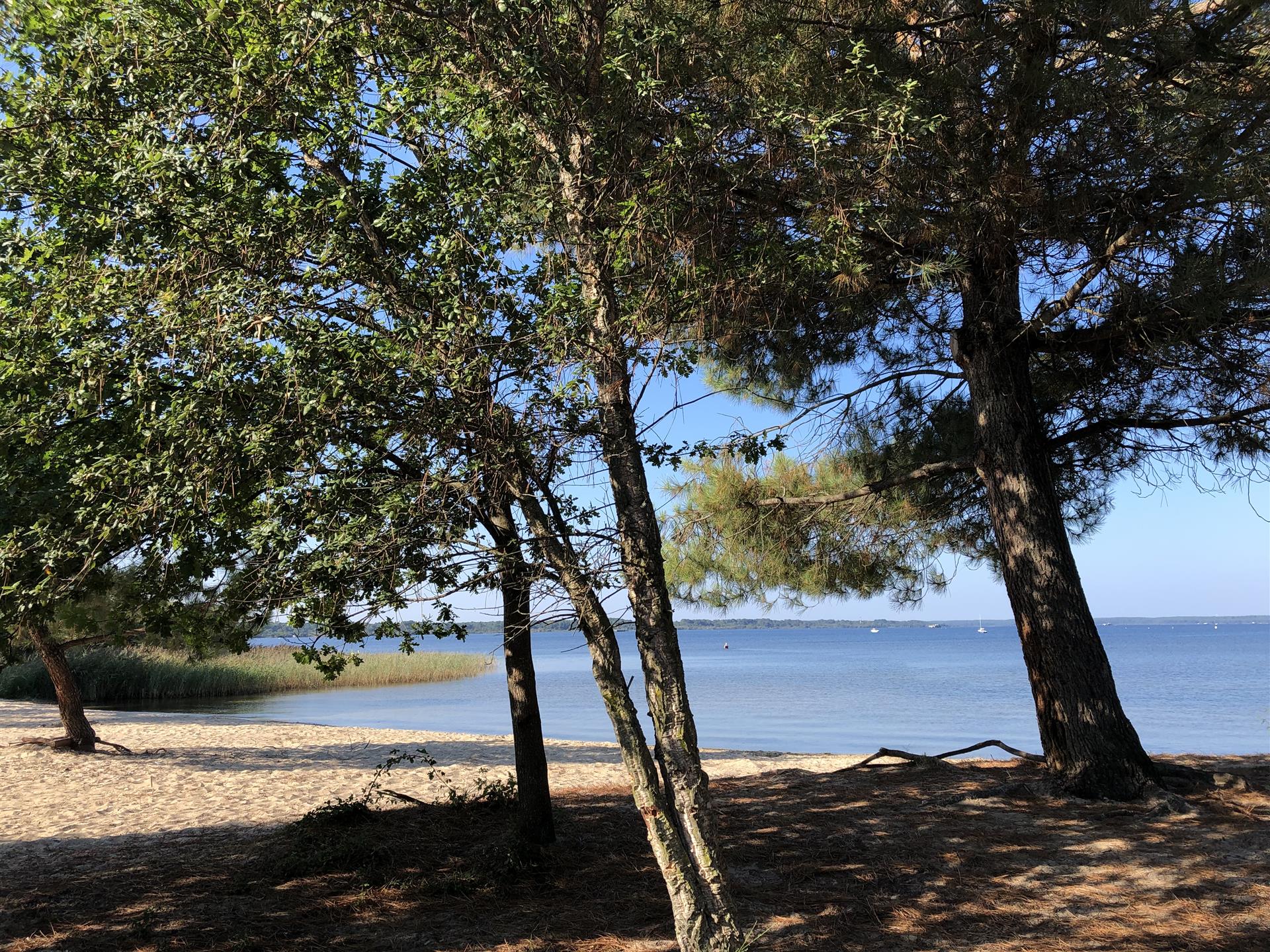 Propriedade à beira do Lago Biscarrosse