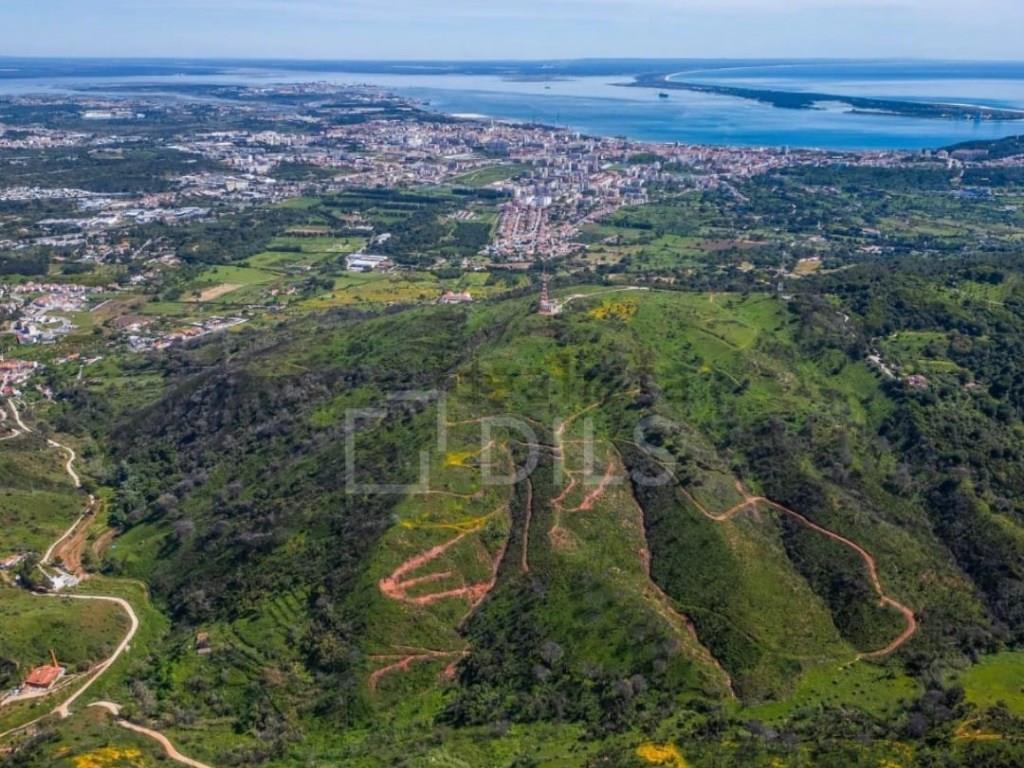 Land in Azeitão with approved project