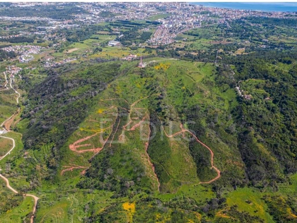 Land in Azeitão with approved project