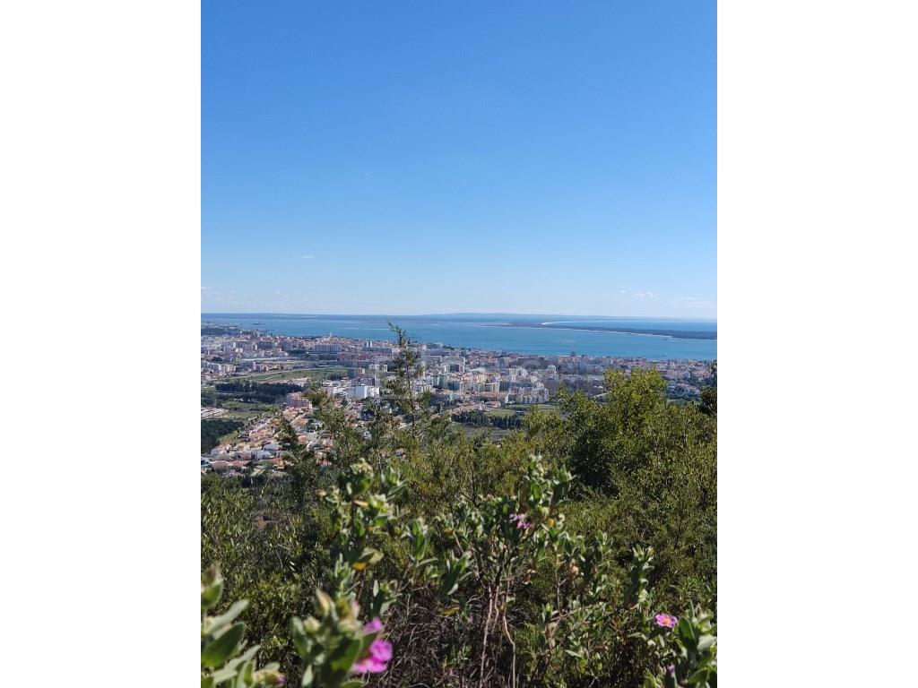 Land in Azeitão with approved project