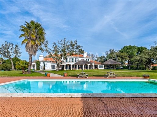 Estate with 32 hectares located in Santo Estevão