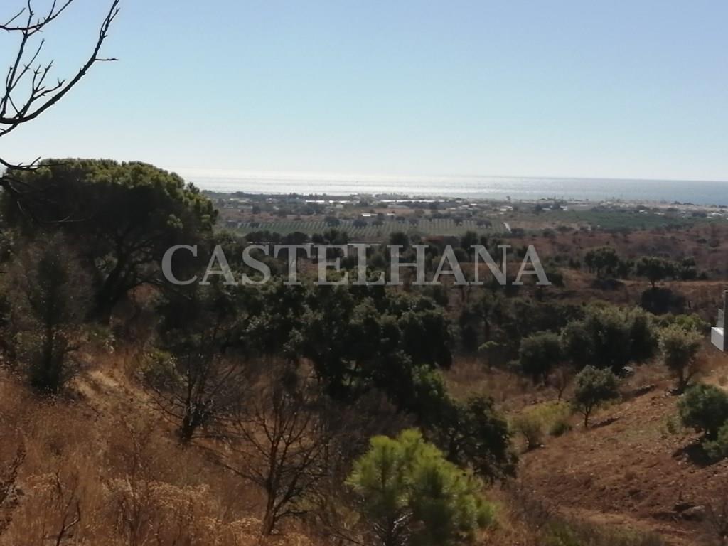 Purchase: Land (8900)