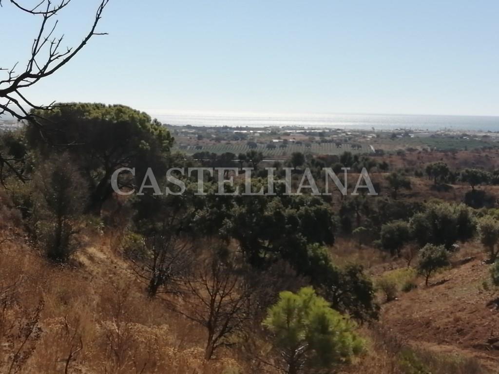 Purchase: Land (8900)