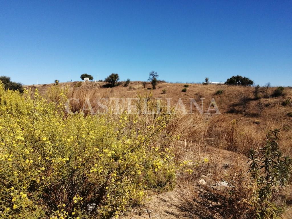 Purchase: Land (8900)