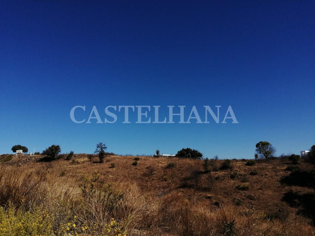 Purchase: Land (8900)