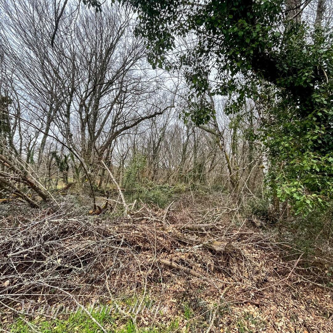 Land 5914 m² Montpon
