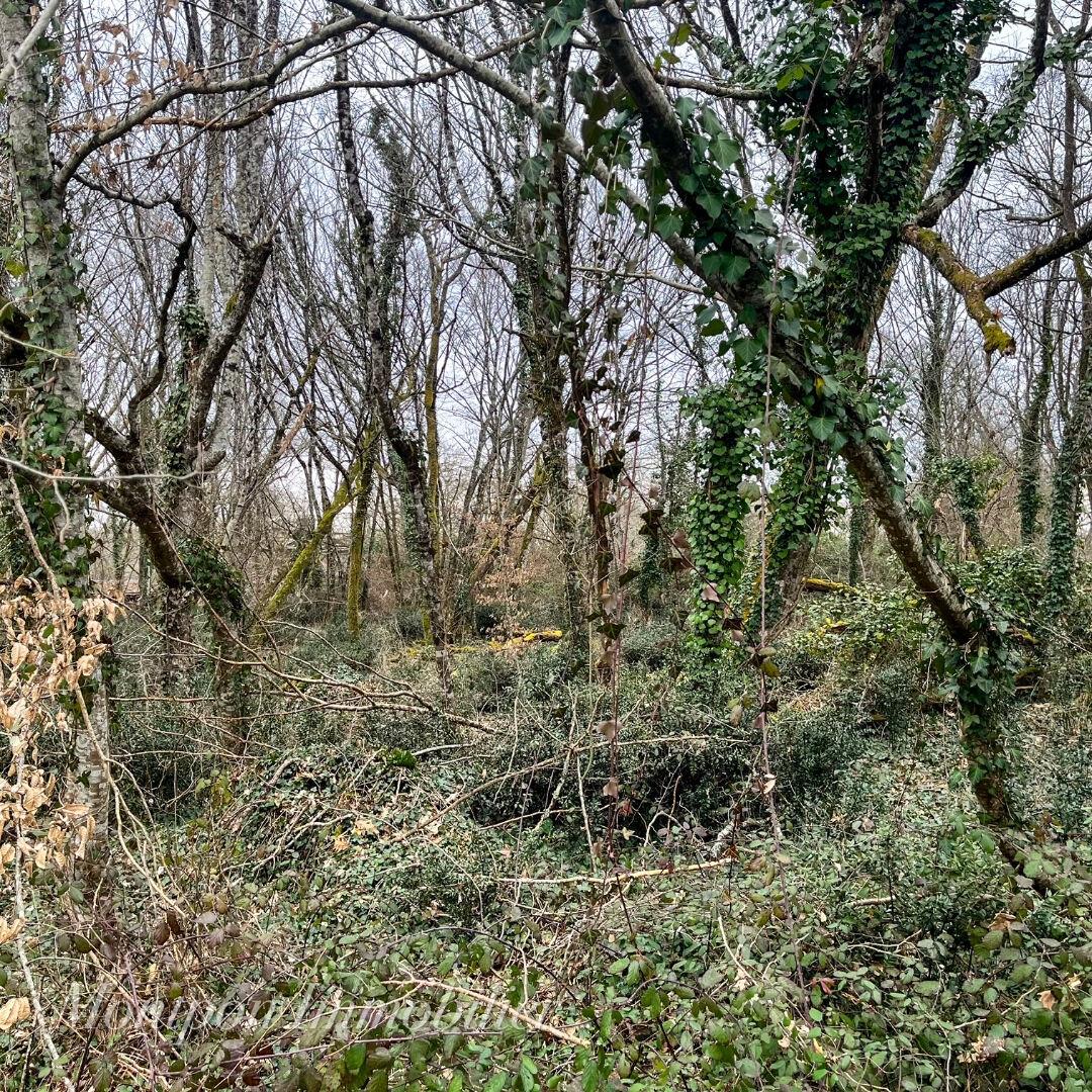 Land 5914 m² Montpon