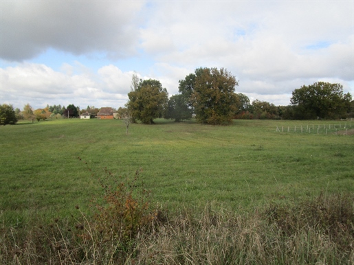 Advert picture