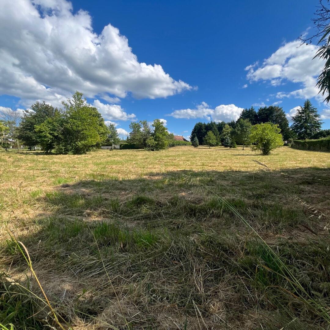 Compra: Terreno (24700)