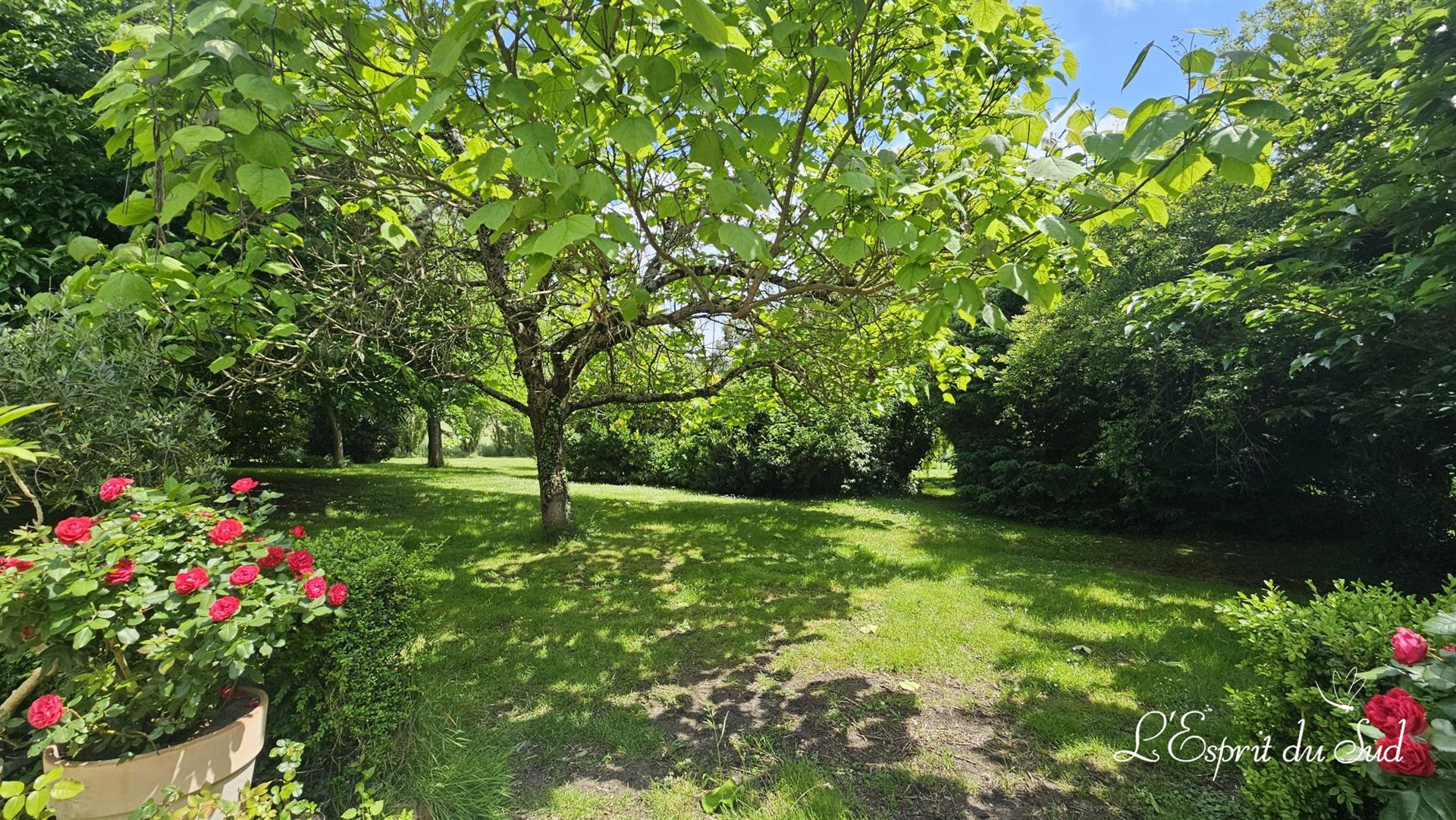 Beautiful family home in a park, gîte and swimming pool