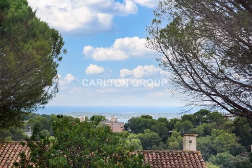 Mougins le Haut - Spacious apartment with parking and cellar - small sea view