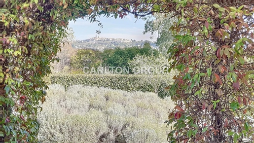 Villa located at walking distance to the village of Colle- Views on Saint Paul de Vence
