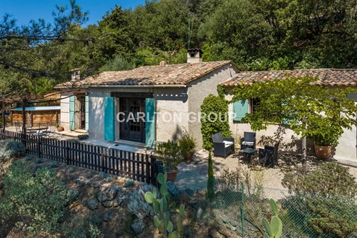 Provencal villa surrounded by greenery in Saint Paul de Vence