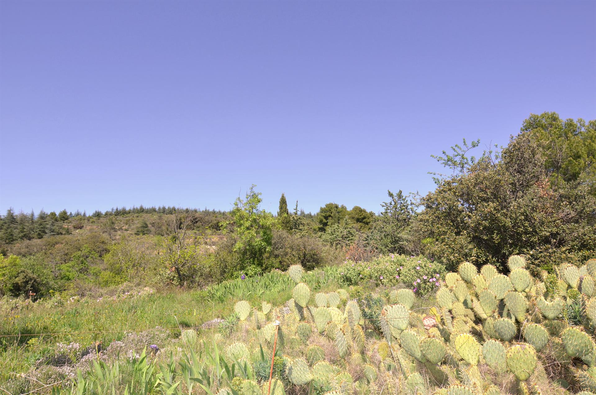 Building land with view to the Pyrenees