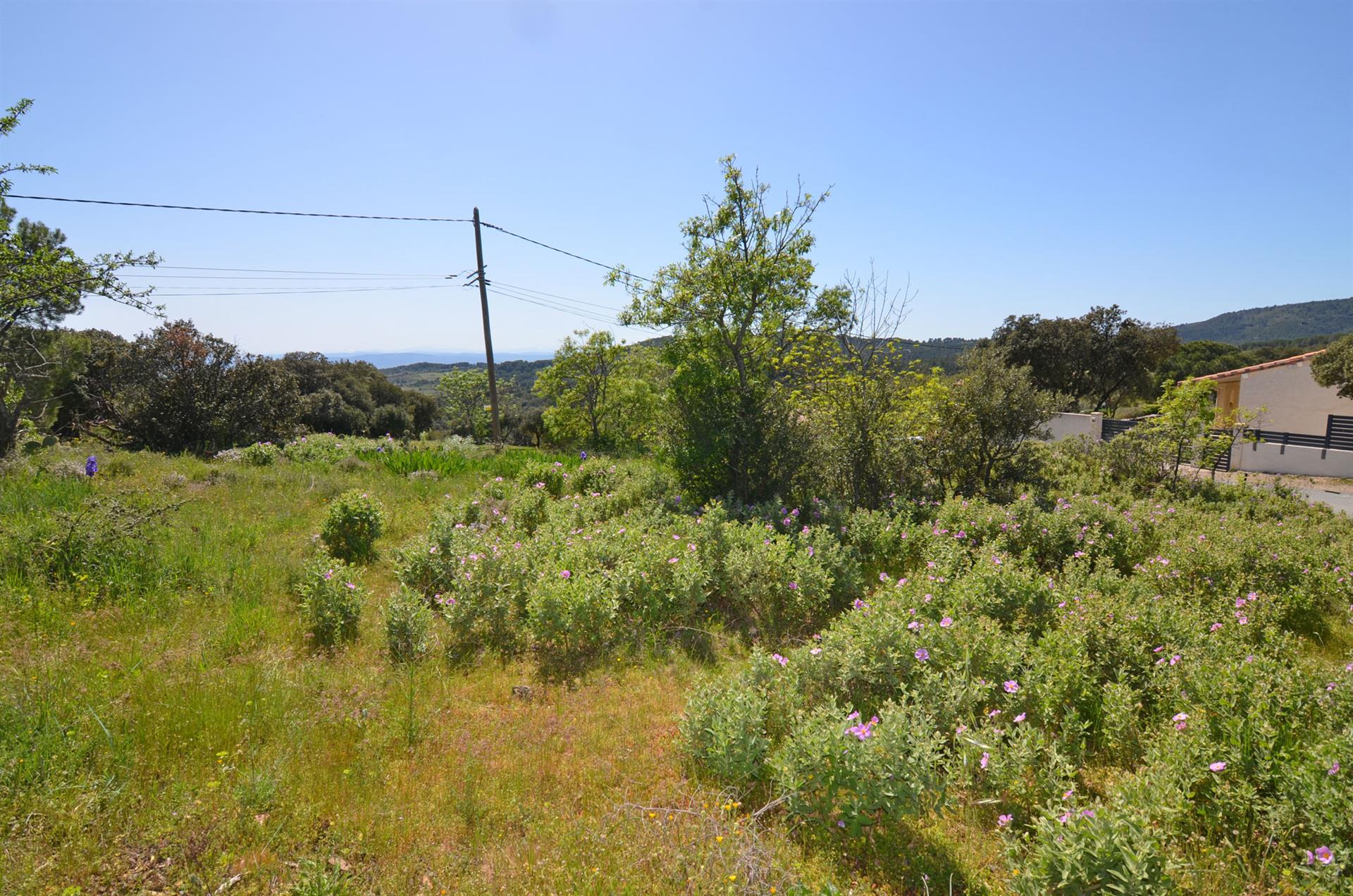 Building land with view to the Pyrenees