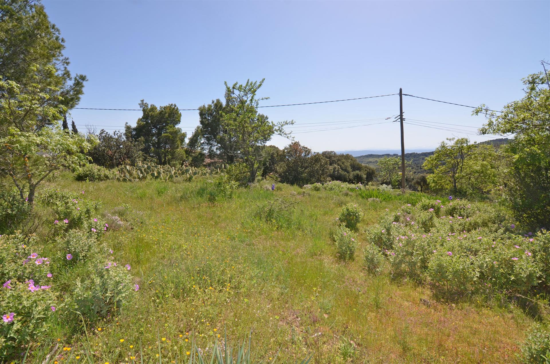 Building land with view to the Pyrenees