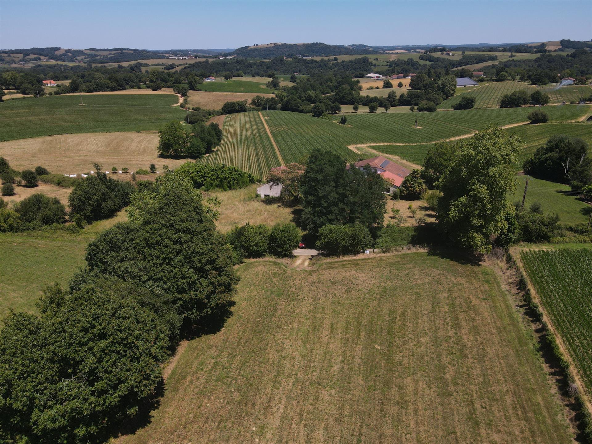 Purchase: Land (64120)