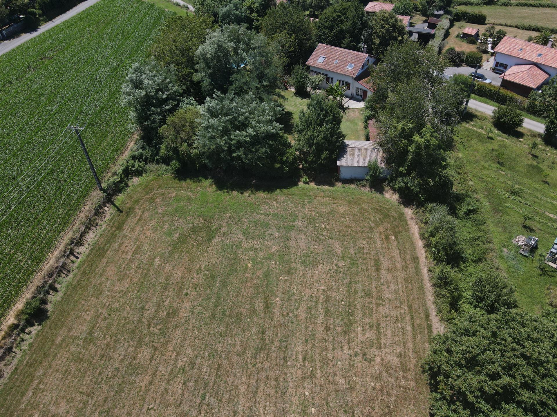 Purchase: Land (64120)