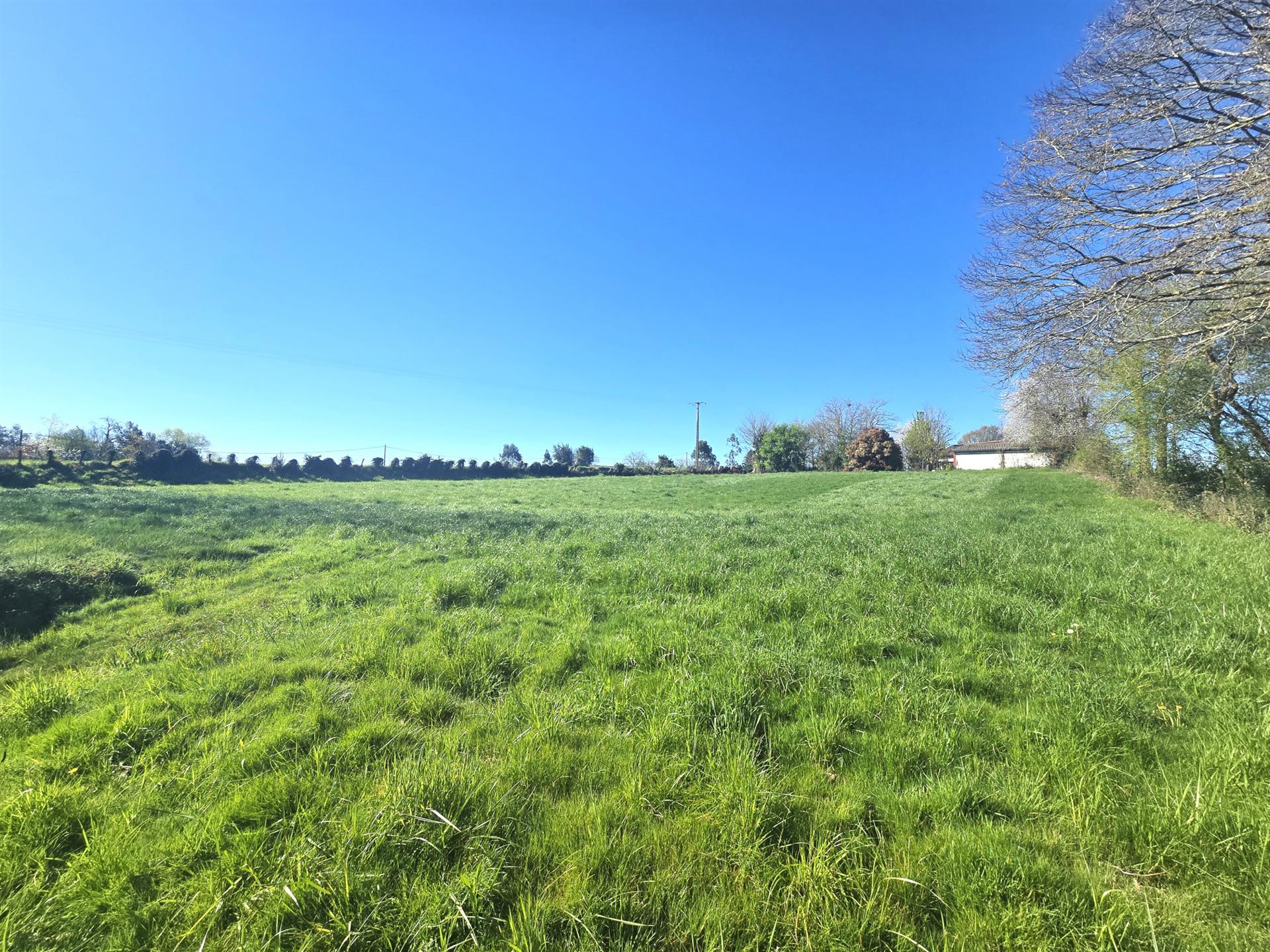 Purchase: Land (64120)