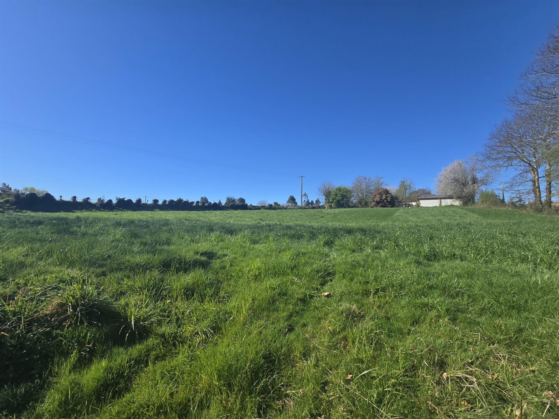 Purchase: Land (64120)