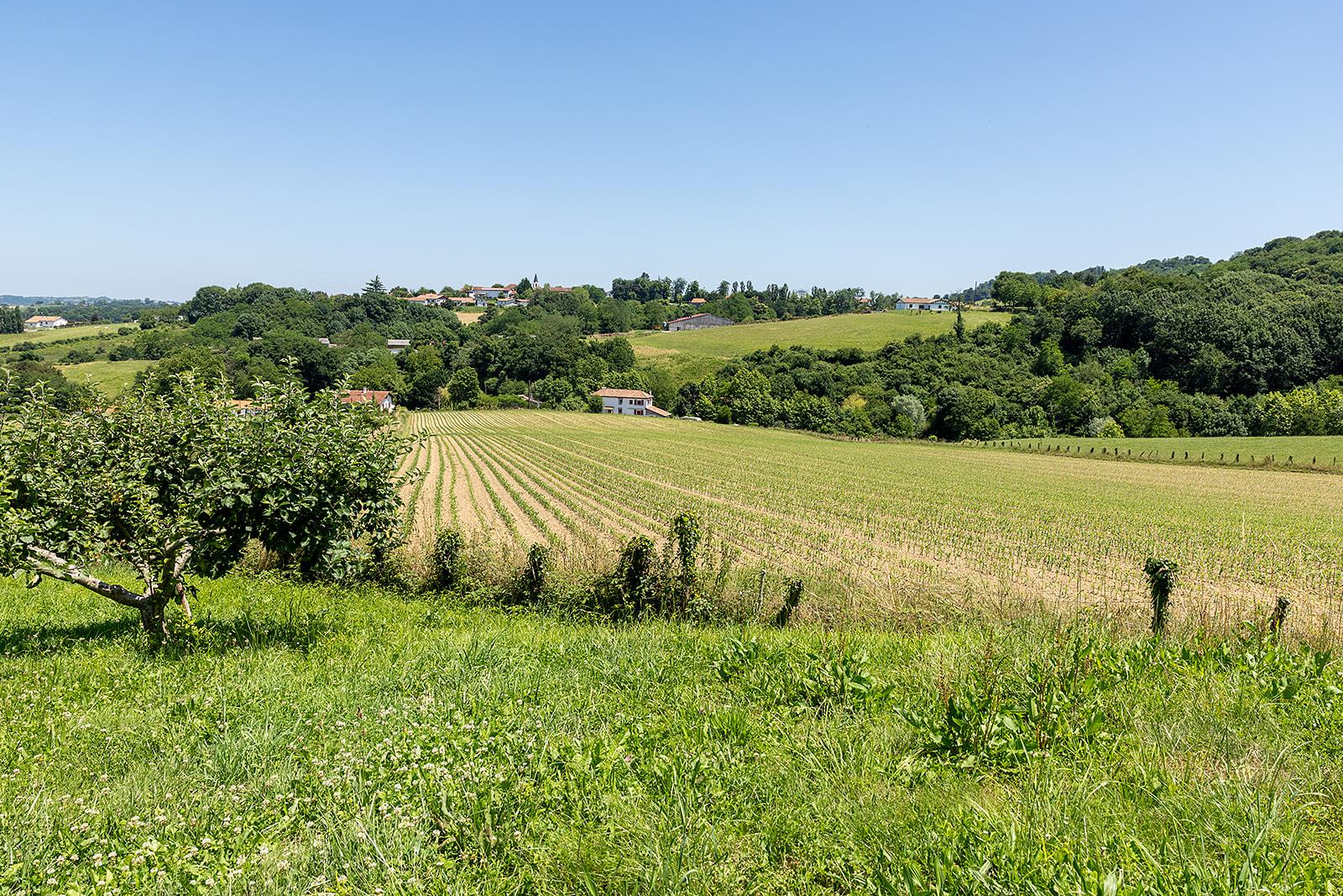 House 'Ondatzia' A family with high potential 2 apartments that can be joined, garden and quiet at 