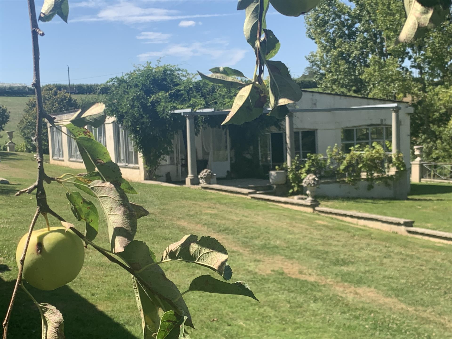 Contemporary Architect-Type Villa + 2 Apartments 1 Conference Room. On 1 hectare 352 (ha)