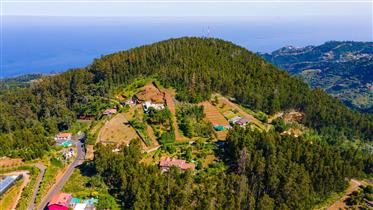 Terreno na Levada Do Pico Dos Heróis - Santa Cruz, Camacha - Madeira