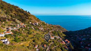 Terreno de 1200 m² com Vista Mar em Campanário, Madeira