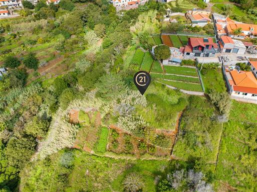 Terreno Rústico Agroflorestal de 900 m2 - Santa Cruz, Madeira