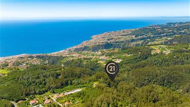 Terreno rústico con 3.265 m2 - Santa Cruz, Madeira