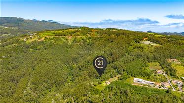 Terreno Rústico com 3.265 m2 - Santa Cruz, Madeira