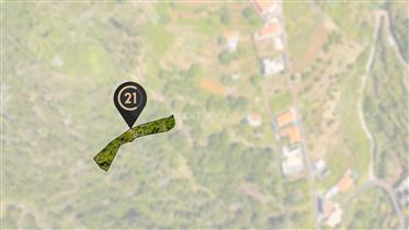 Rustikalno zemljište površine 850 m2 - Eiras, Santa Cruz, Madeira