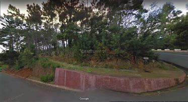 Maravilhoso Terreno com Levada e frente à Estrada em Gaula, Achada do Marques, Madeira, Portugal